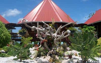 Kauehi Lodge